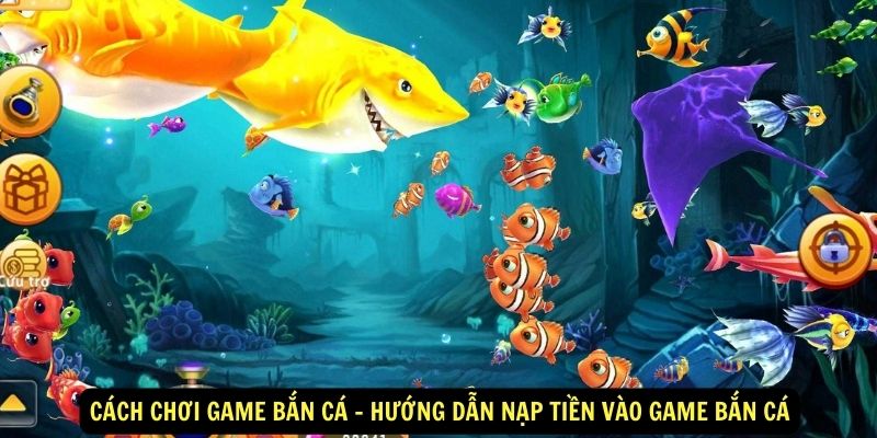 Cách chơi game bắn cá - hướng dẫn nạp tiền vào game bắn cá