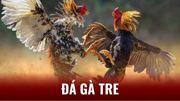 Đá Gà Tre - Biểu Tượng Văn Hóa Việt