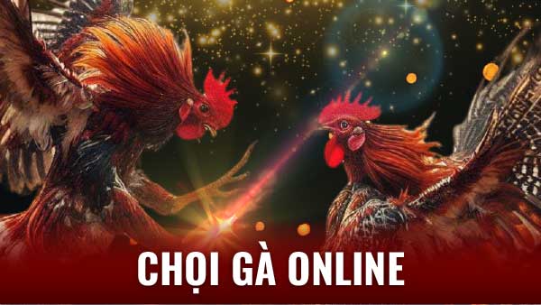 Chọi Gà Online - Giải Trí Bất Tận, Tiền Thưởng Mê Ly!